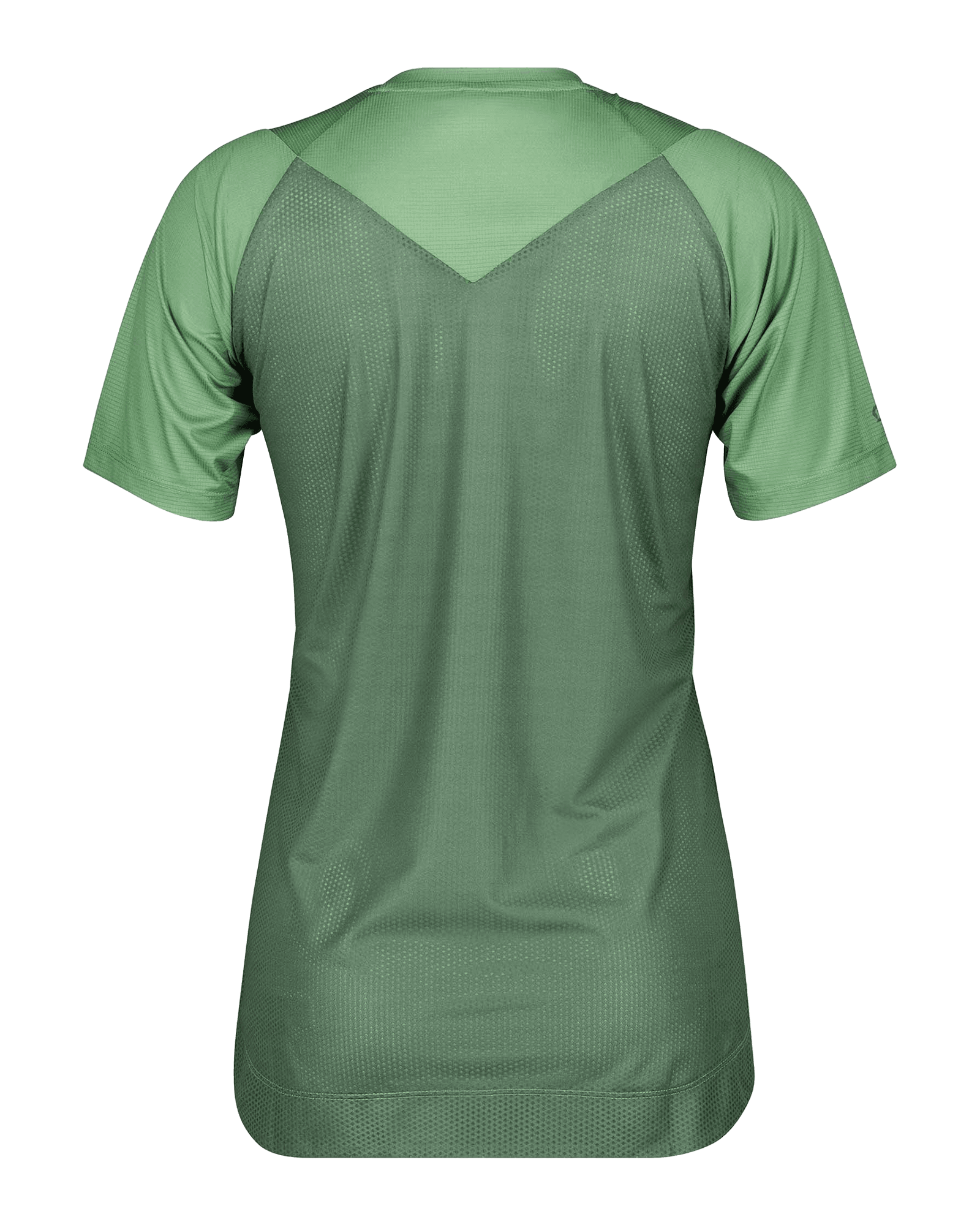 Glade Green/Crystal Pink