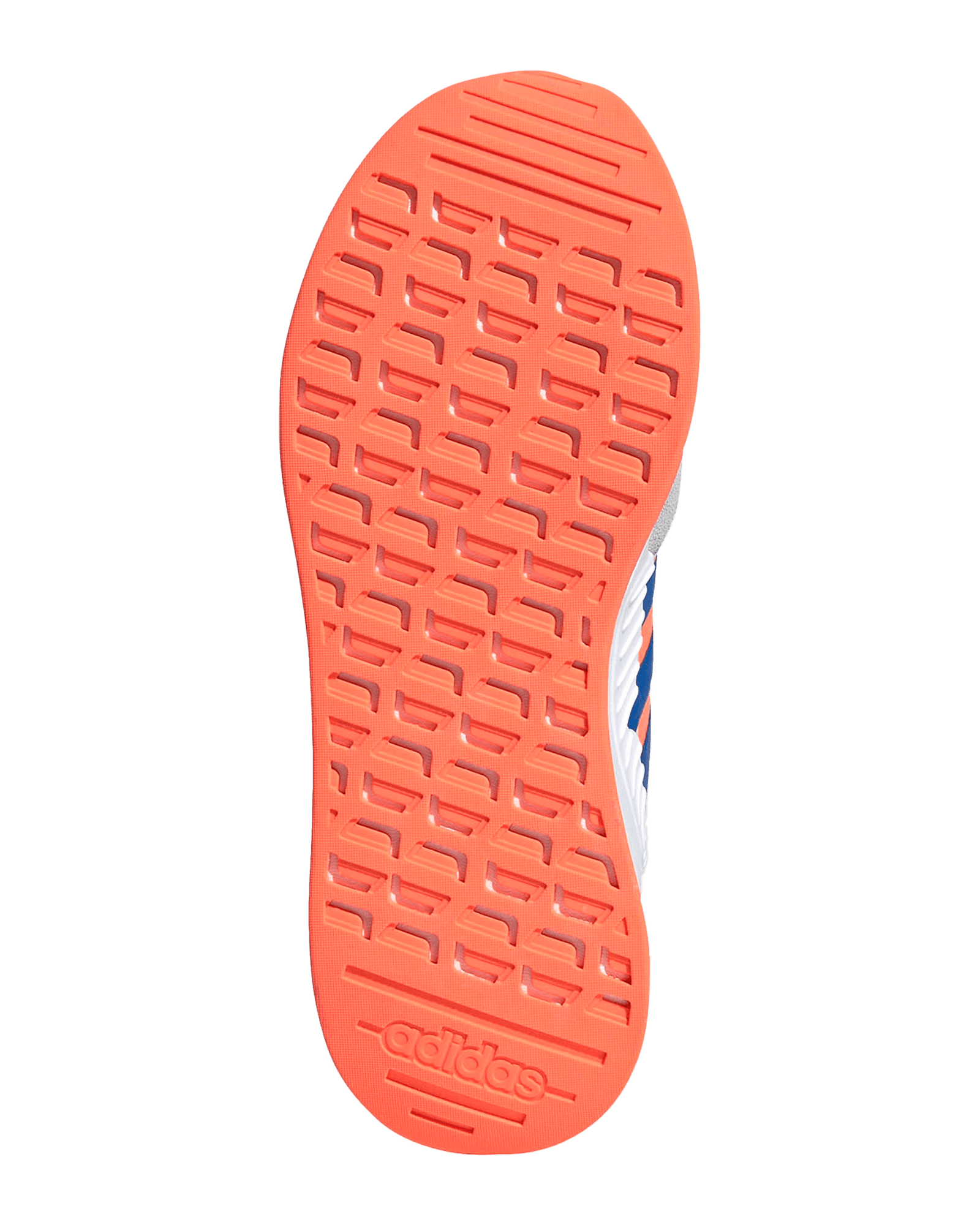 DSH Grey/Glo Blue/SIGCOR